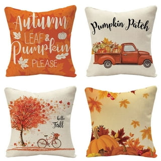https://i5.walmartimages.com/seo/Fall-Pillow-Covers-18x18-Set-4-Farmhouse-Decor-Pillows-Pumpkin-Maple-Leaves-Hello-Autumn-Decorative-Porch-Couch-Bed_2d3aa2bb-06fb-46eb-9ba2-010b82be4b7d.e1c9781d334ac8b39129549ce15bbd06.jpeg?odnHeight=320&odnWidth=320&odnBg=FFFFFF