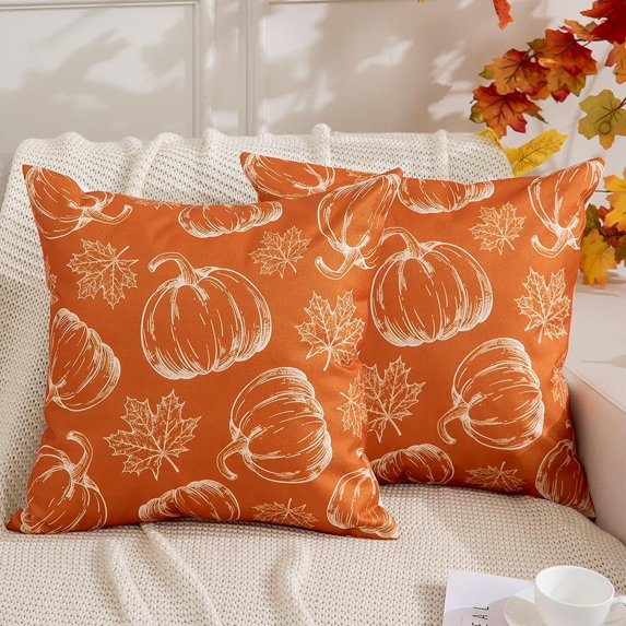 Fall Pillow Covers 18x18 inch Set of 2 Fall Decoration White Lines Pumpkin Decor Autumn Outdoor Pillow Cover Thanksgiving Decoration for Home Couch 128C