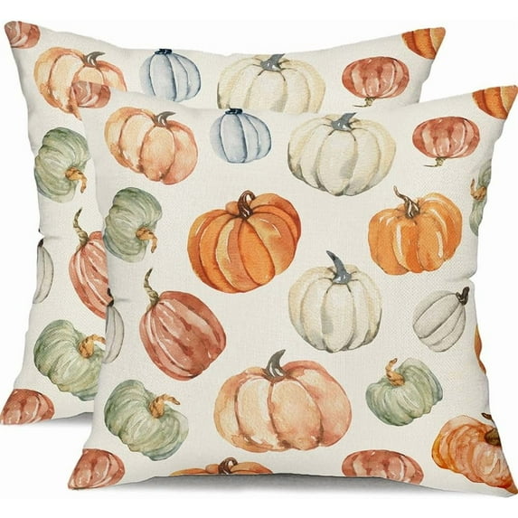 Fall Pillow Covers 18x18 inch Set of 2 Fall Decoration White Orange Pumpkin decor Autumn Outdoor Pillow Cover Thanksgiving Decoration for Home Couch 117A