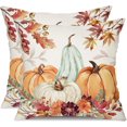 thumbnail image 1 of Fall Pillow Covers 18x18 inch Set of 2 Orange White Pumpkin Fallen Leaves Decorative Outdoor Throw Pillow Covers Autumn Thanksgiving Farmhouse Decoration for Home Couch 27, 1 of 6