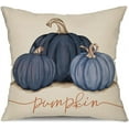 thumbnail image 1 of Fall Pillow Covers 20x20 Inch Fall Autumn Thanksgiving Ink Painting Blue Pumpkins Pillowcovers Cotton Linen DecorativeDecoration for Home Couch YZT14C20, 1 of 6