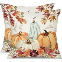 Fall Pillow Covers 20x20 inch Set of 2 Orange White Pumpkin Fallen Leaves Decorative Outdoor Throw Pillow Covers Autumn Thanksgiving Farmhouse Decoration for Home Couch 27