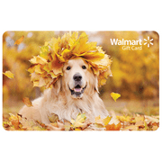 Fall Playful Autumn Pooch Walmart eGift Card