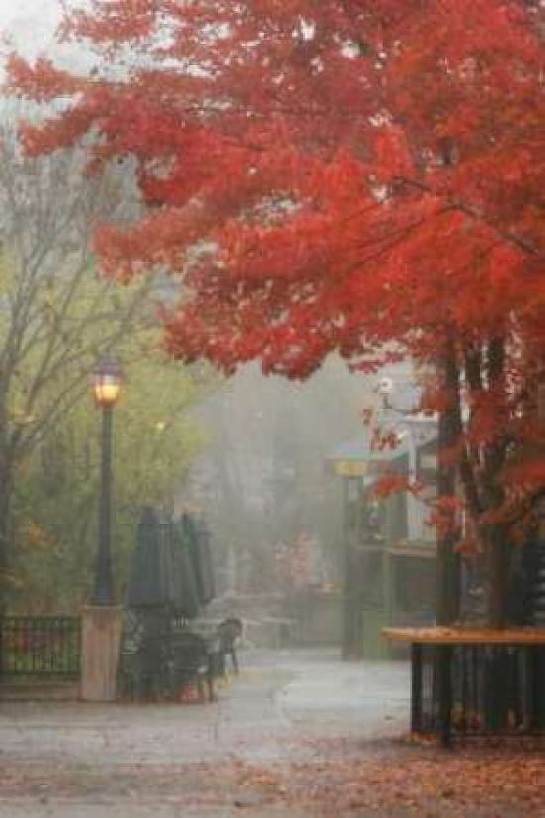 Fall Plaza III Canvas Art - Vitaly Geyman (12 x 18)