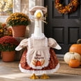 thumbnail image 1 of Fall Porch Goose Outfit with Pumpkin Apron and Hat, Brown and Beige, 1 of 4