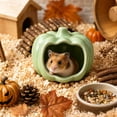 thumbnail image 1 of Fall Pumpkin Decor Glazed Ceramic Hamster Hideout, Cool Heavy-Duty Small Pet Shelter for Rabbit Mice Gerbil, Reptile & Amphibian Habitat Hideouts, 1 of 5