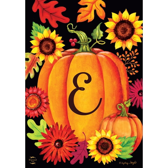 Fall Pumpkin Monogram Letter E Garden Flag Briarwood Lane 12.5" x 18"