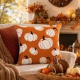 thumbnail image 1 of Fall Pumpkin Pillow Covers, Thanksgiving Decorative Pillow Case with Hidden Zipper Polyester Fabric, Autumn Harvest Home Decor for Sofa Couch Bed Bedroom, 17.7 x 17.7 Inch, 1 of 7