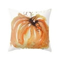 thumbnail image 1 of Fall Pumpkin Throw Pillow Covers 18x18 Set of 2 Boho Orange and Bule Pumpkin Pillows Cases for Sofa Couch Outdoor Farmhouse Cottage Autumn Decorations Decorative Pillows Cases for Home Room Decor, 1 of 5