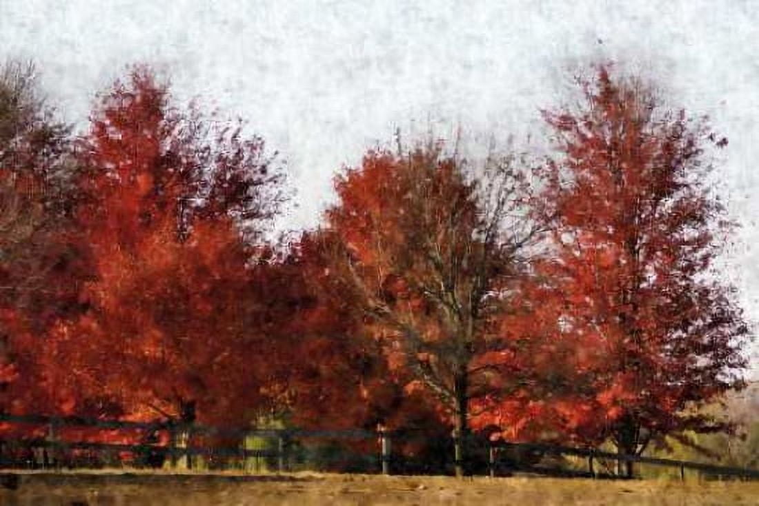 Fall Reds Canvas Art - Denise Romita (12 x 18)