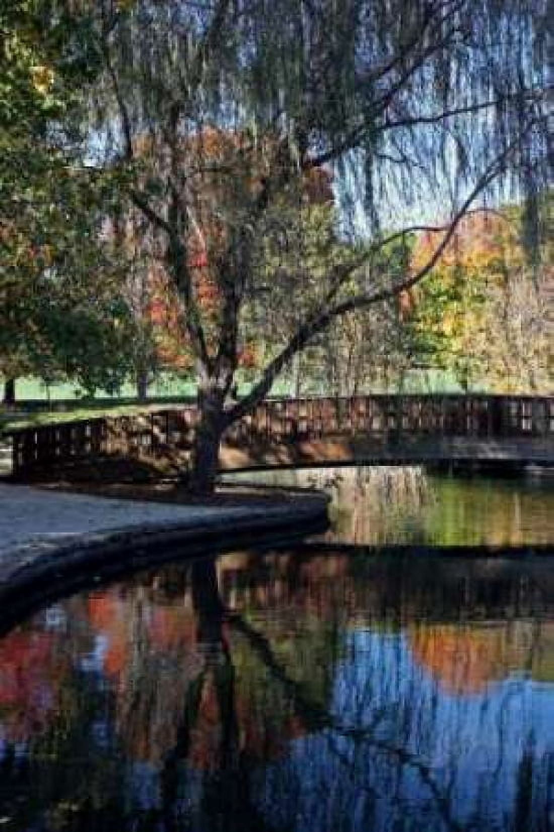 Fall Reflection Canvas Art - Tammy Putman (20 x 28)