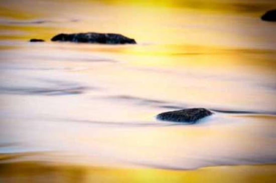 Fall Reflections I Canvas Art - Beth Wold (24 x 36)