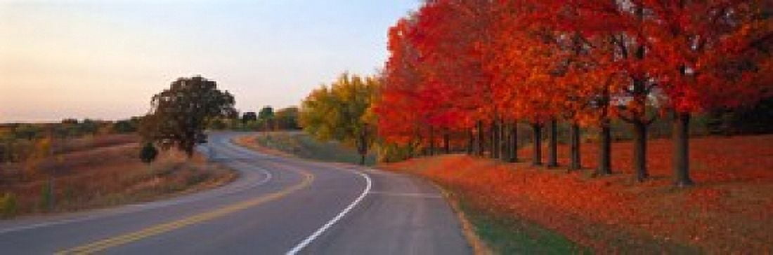 Fall Road IL Canvas Art - Panoramic Images (18 x 6)