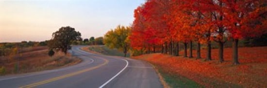Fall Road IL Canvas Art - Panoramic Images (36 x 12)