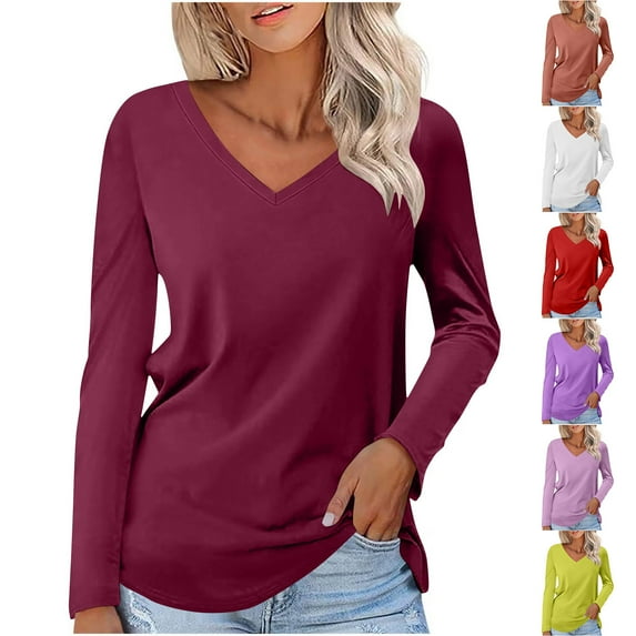 HVOBTTY Womens Long Sleeve Pullover T Shirt, Fall Tops for Women, Women's Casual Solid Color V Neck Daily Wear Sport Top Purple, XL