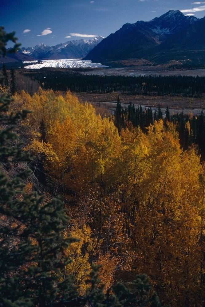 Fall Scenic Matanuska Glacier Chugach Mountains Southcentral Alaska Canvas Art - Jeff Schultz Design Pics (11 x 17)