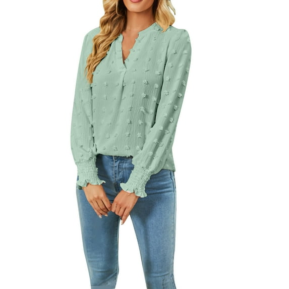 Fall Shirts for Women Long Puff Sleeve V Neck Solid Color Tops Swiss Dots Lightweight Thin Tunic Blouses T Shirts
