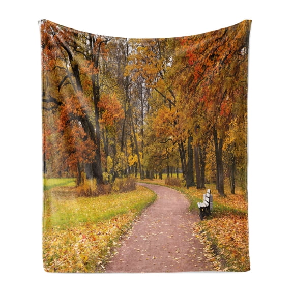 Fall Soft Flannel Fleece Blanket, Idyllic Rural Landscape Tranquility in the Park Pathway Woodland Peaceful Environment, Cozy Plush for Indoor and Outdoor Use, 50" x 60", Multicolor, by Ambesonne