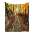 thumbnail image 1 of Fall Soft Flannel Fleece Blanket, Inspirational Early Morning View in the Woods with Rising Sun Idyllic Park Wilderness, Cozy Plush for Indoor and Outdoor Use, 50" x 60", Multicolor, by Ambesonne, 1 of 5