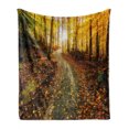 thumbnail image 1 of Fall Soft Flannel Fleece Blanket, Inspirational Early Morning View in the Woods with Rising Sun Idyllic Park Wilderness, Cozy Plush for Indoor and Outdoor Use, 60" x 80", Multicolor, by Ambesonne, 1 of 6