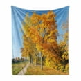 thumbnail image 1 of Fall Soft Flannel Fleece Throw Blanket, Maple Trees in the Rural Countryside Natural Landscape Tranquil View, Cozy Plush for Indoor and Outdoor Use, 50" x 70", Pale Blue Yellow Green, by Ambesonne, 1 of 6