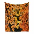 thumbnail image 1 of Fall Soft Flannel Fleece Throw Blanket, Vibrant Leaves of Autumn Maple Tree Branches with Sunbeams Seasonal Nature, Cozy Plush for Indoor and Outdoor Use, 50" x 60", Orange Yellow Brown, by Ambesonne, 1 of 6