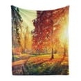 thumbnail image 1 of Fall Soft Flannel Fleece Throw Blanket, Vibrant Misty Day in Forest Sun Rays Trees Foliage Fallen Leaves Calm View, Cozy Plush for Indoor and Outdoor Use, 50" x 70", Orange Yellow Green, by Ambesonne, 1 of 6