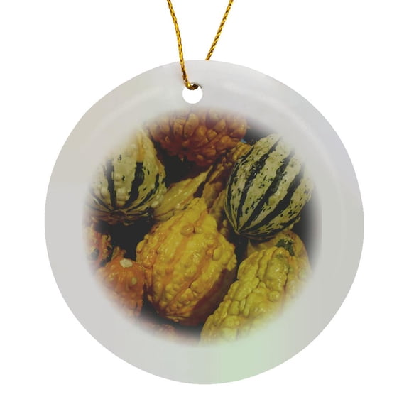 3drose, Fall Squash, Circle Porcelain Ornament