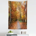 thumbnail image 1 of Fall Tapestry, Pathway Covered Fallen Leaves Through Autumn Forest Vibrant Trees Print, Fabric Wall Hanging Decor for Bedroom Living Room Dorm, 5 Sizes, Orange Yellow Green, by Ambesonne, 1 of 1