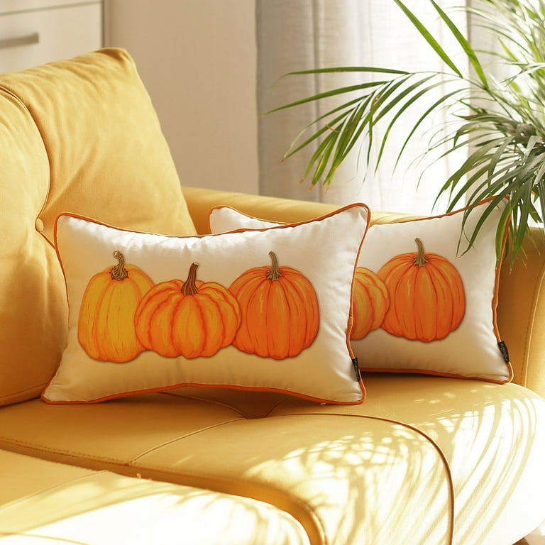 Thanksgiving 2025 decorative pillows