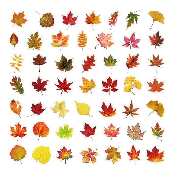 50 Autumn Leaf Maple Stickers For Fall Home Decor DIY Craft Projects Paper Art Supplies Waterproof Decor