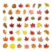 50 Autumn Leaf Maple Stickers For Fall Home Decor DIY Craft Projects Paper Art Supplies Waterproof Decor