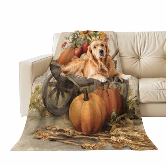 Fall Throw Blanket for Couch Pumpkin Sunflower Soft Fleece Flannel Blankets Cozy Lightweight Blanket for Sofa Living Room Thanksgiving Autumn Decor, Farmhouse Wheelbarrow Bed Throws 30" x 40"
