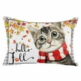 thumbnail image 1 of Fall Throw Pillow Cover 16 x 24 Inch Decorative Pillow Cover Thanksgiving Autumn Cat Leaves Retro Maple Leaf Gray Plaid Lumbar Pillowcase Seasonal Rectangle Cushion Case for Couch Sofa Bedroom, 1 of 7