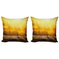 thumbnail image 1 of Ambesonne Fall Throw Pillow Cover 2 Pack, Empty Tabletop and Wheat, 24", Brown Orange Yellow, 1 of 2