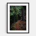 thumbnail image 1 of Fall Trail - Oregon Photography Forest Nature Woodland Autumn Wilderness Scenic Landscape Black Framed Wall Art Print 20 x 30 inches, 1 of 8