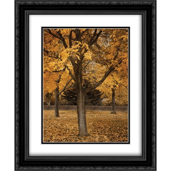 Fall Tree Grove II 2x Matted 20x24 Black Ornate Framed Art Print by Geyman, Vitaly