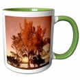 thumbnail image 1 of 3drose, Fall Tree on Riverbank, 15oz Two-tone Green Mug, 1 of 6