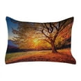 thumbnail image 1 of Fall Tree Quilted Pillowcover, Big Majestic Autumn Tree Shedding Faded Leaves on the Hill Slop Seasonal Landscape, Standard King Size Accent Pillow Cover for Bedroom, 36" x 20", Brown, by Ambesonne, 1 of 2