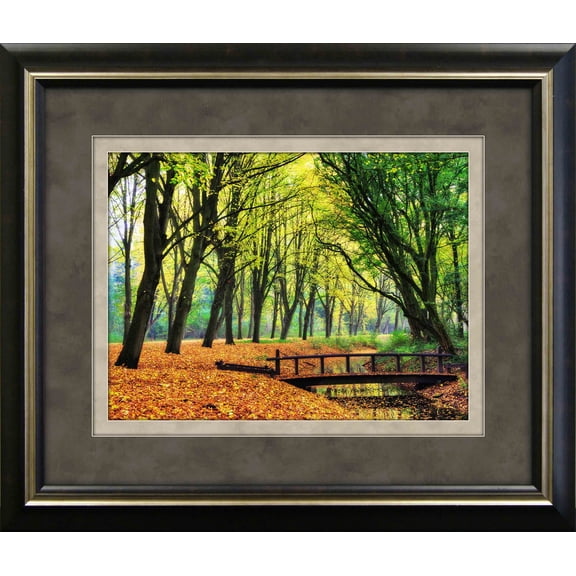 Fall Tree Tunnel Framed Art 19.25"x23.25"