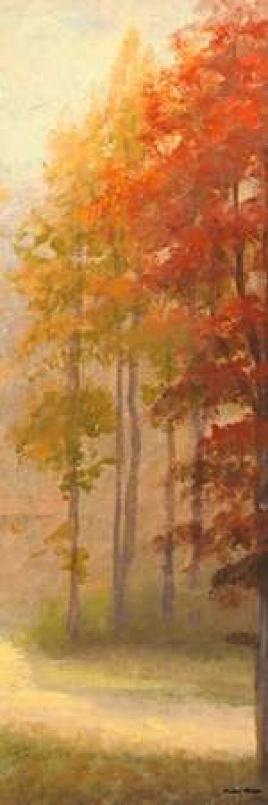 Fall Trees I Canvas Art - Michael Marcon (8 x 24)