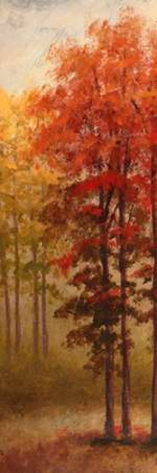 Fall Trees II Canvas Art - Michael Marcon (8 x 24)
