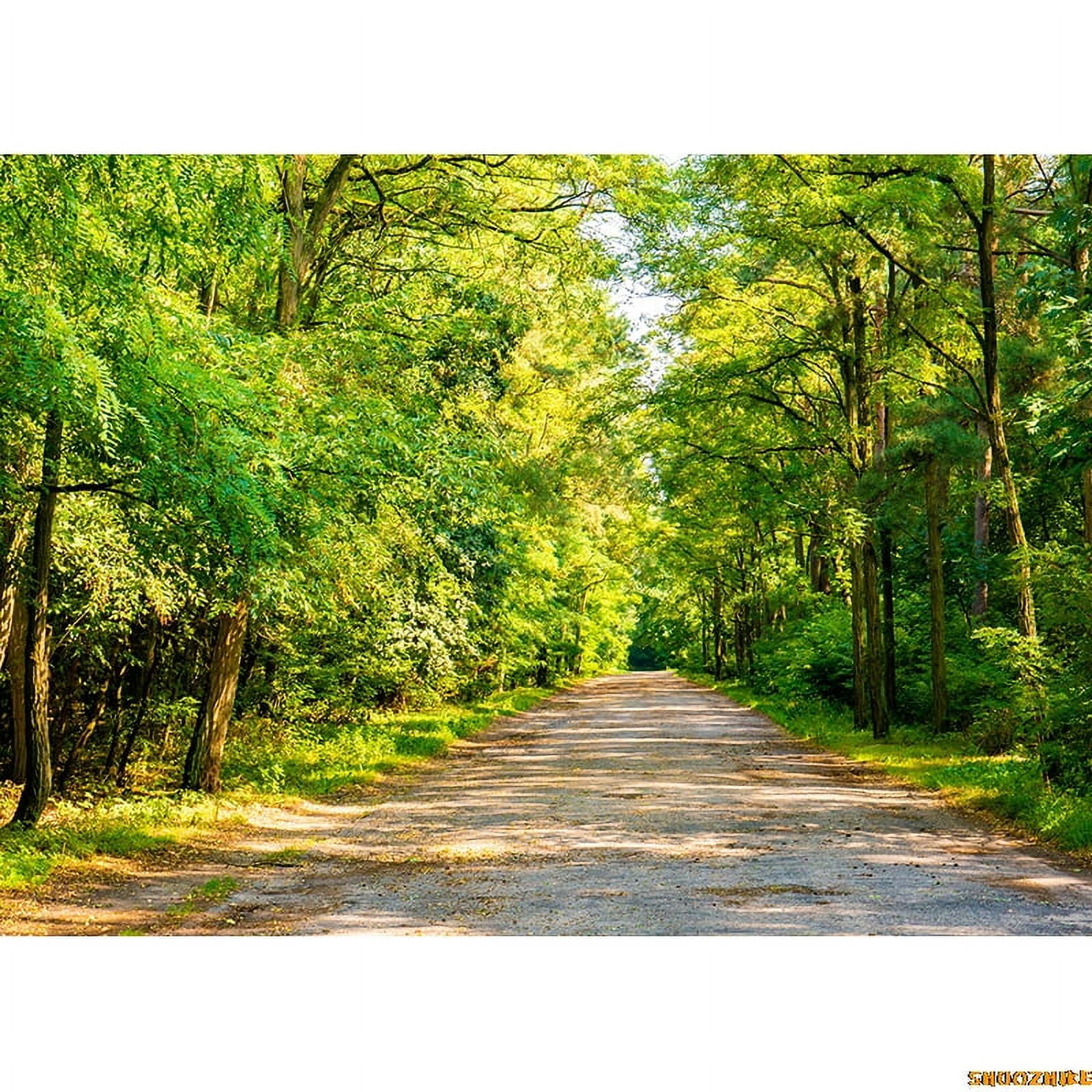 Fall Trees In Gre Virgin Coniferous Forest Photography Backdrops Props ...