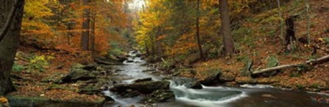 Fall Trees Kitchen Creek PA Canvas Art - Panoramic Images (18 x 6)