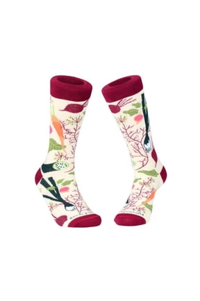 Fall Vegetable and Fruit Socks (Adult Medium - Women's Shoe Sizes 5-10) - Sock Panda