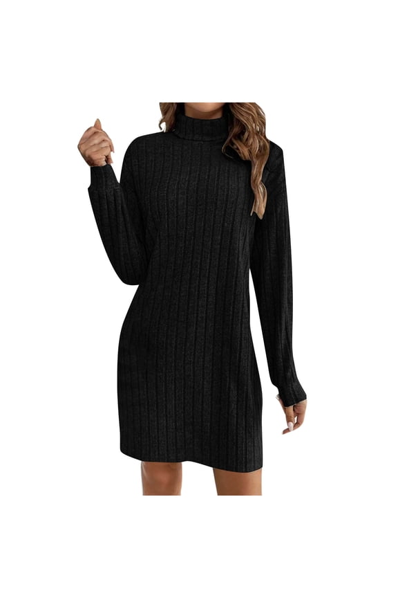 Fall Winter Long Sleeve Turtleneck Ribbed Pullover Casual Mini Sweaters Dress