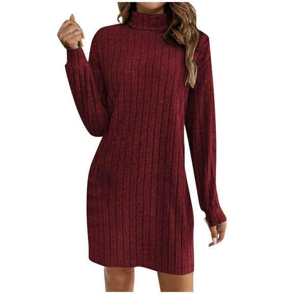 Fall Winter Long Sleeve Turtleneck Ribbed Pullover Casual Mini Sweaters Dress