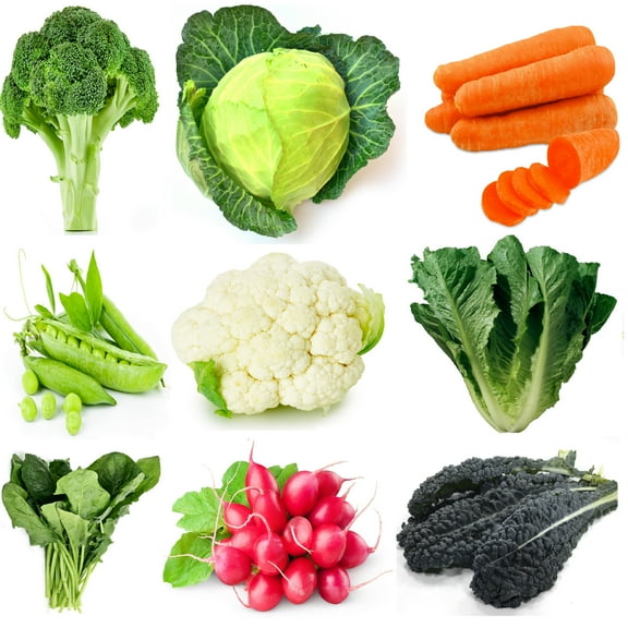 Fall and Winter Vegetable Seeds Variety Pack  9 Heirloom, Non-GMO Cool Season Varieties  Carrot, Broccoli, Kale, Lettuce, Cabbage, Spinach, Peas, Radish, Cauliflower .