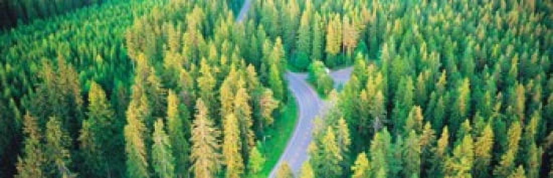 Fall aerial road forest Kuopio Finland Canvas Art - Panoramic Images (18 x 6)