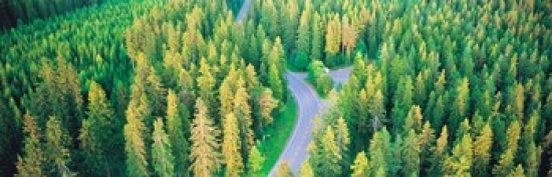 Fall aerial road forest Kuopio Finland Canvas Art - Panoramic Images (36 x 12)